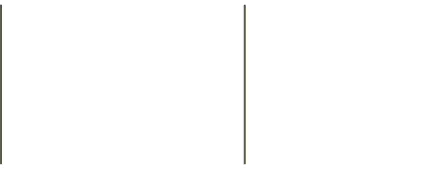 Socios Olivos de Chamisero